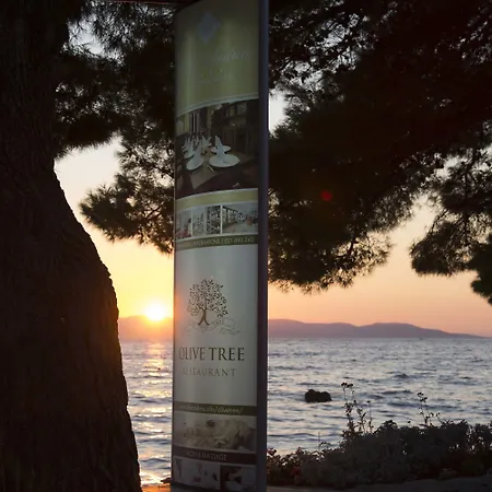 Hotel Andrea Tučepi